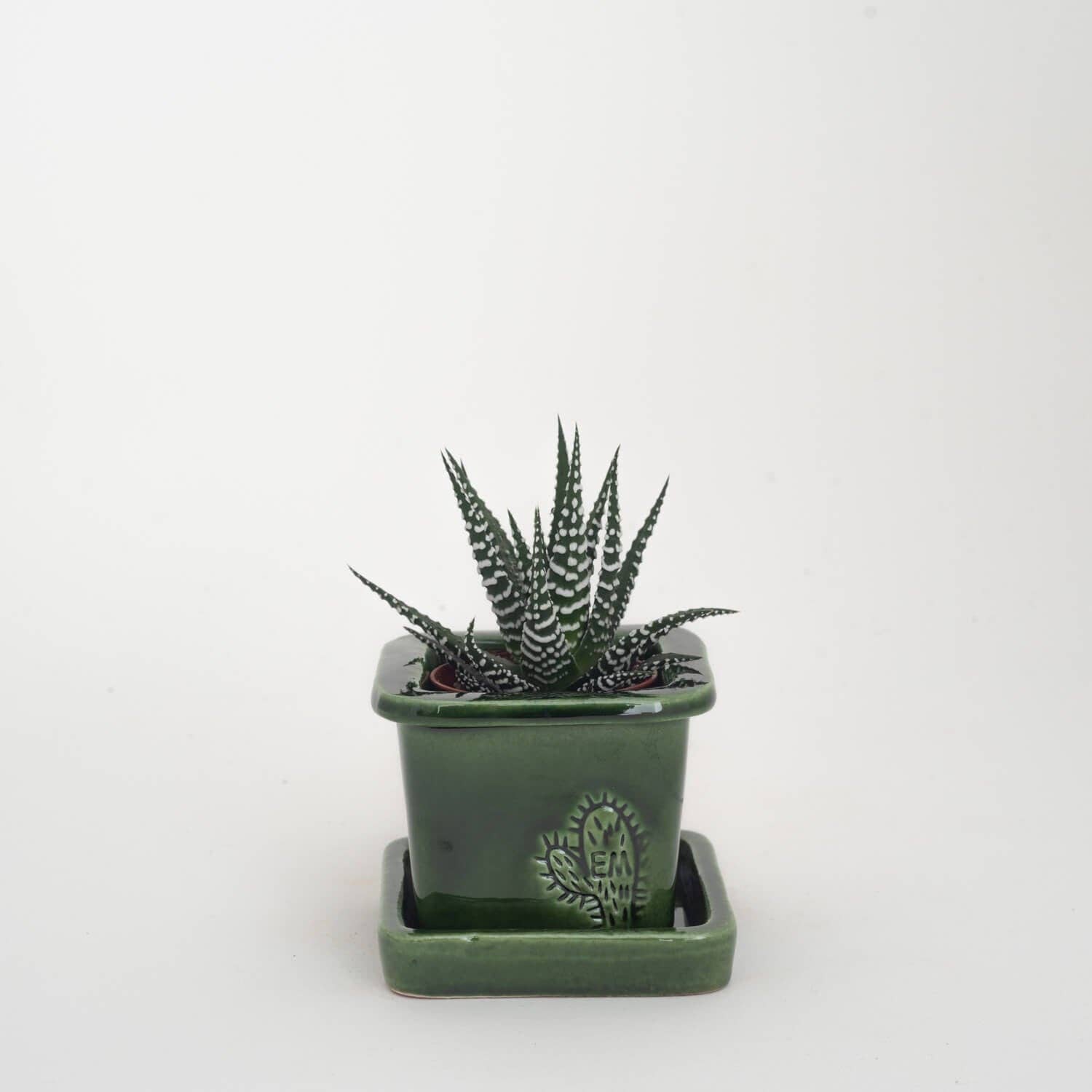 Vasos Quadrados by EM – Vaso de plantas por atacado – VASO QUADRADO MINI 6x6 - BRILHO43