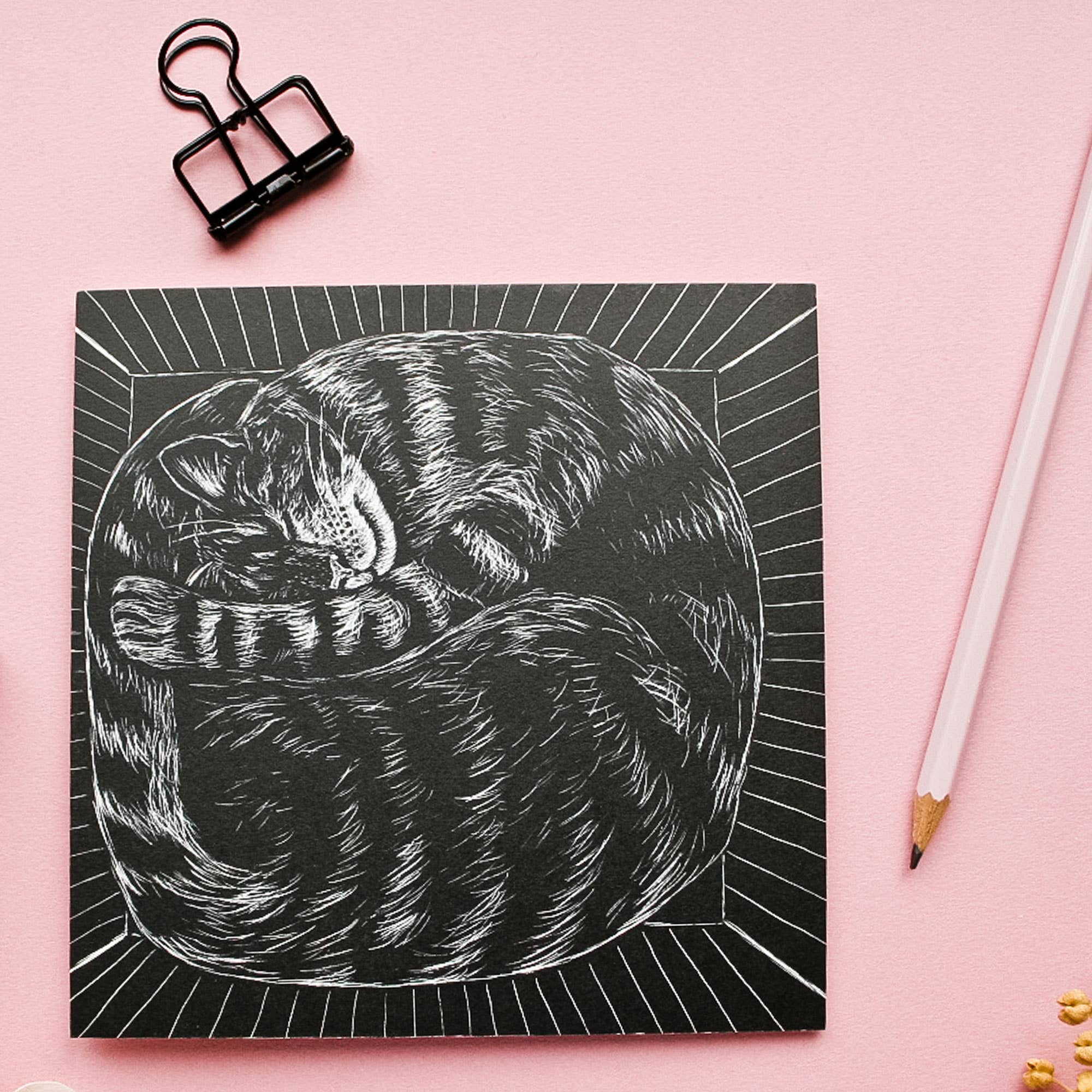 Katja Rub - Wholesale Postcard - Postcard Rolled-up Cat in a Box2