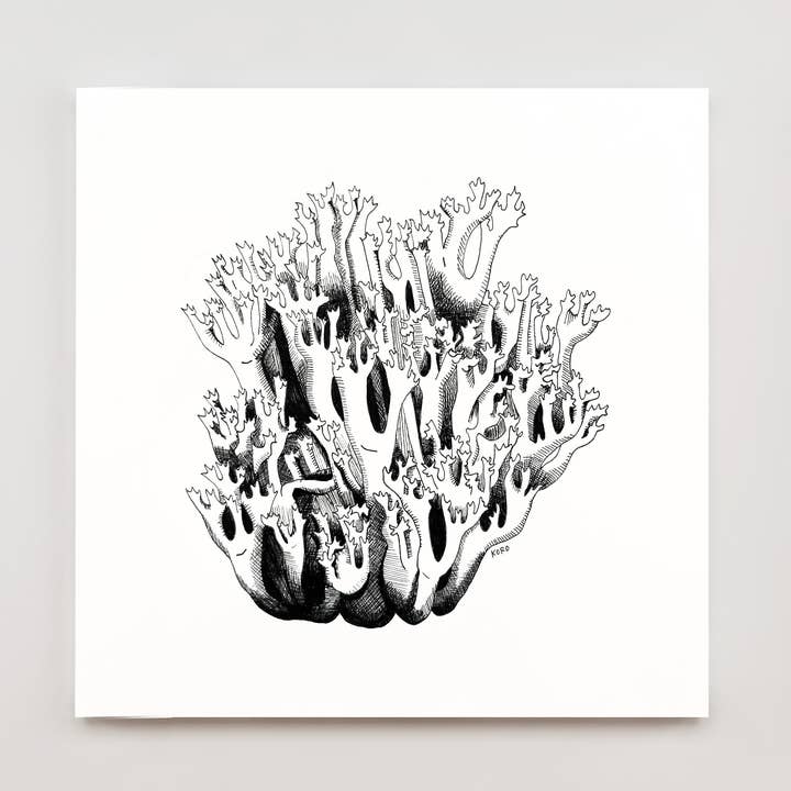 8" x 8" Coral Mushroom Print for wholesale by Koro Illustration