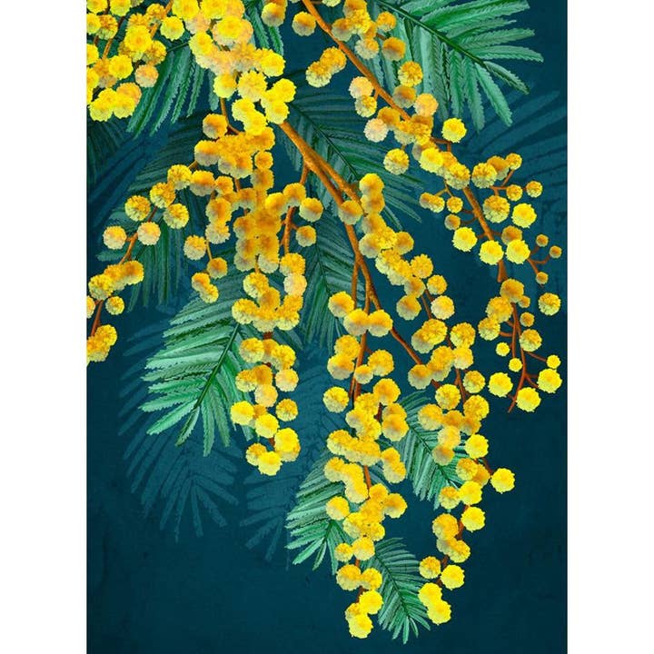 "Golden Spirit" |Australian Coastal Wattle Print - Portrait for wholesale by Banksia Blue Studio