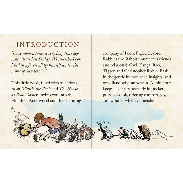 Peter Pauper Press - Wholesale Classics - The Pocket Pooh1