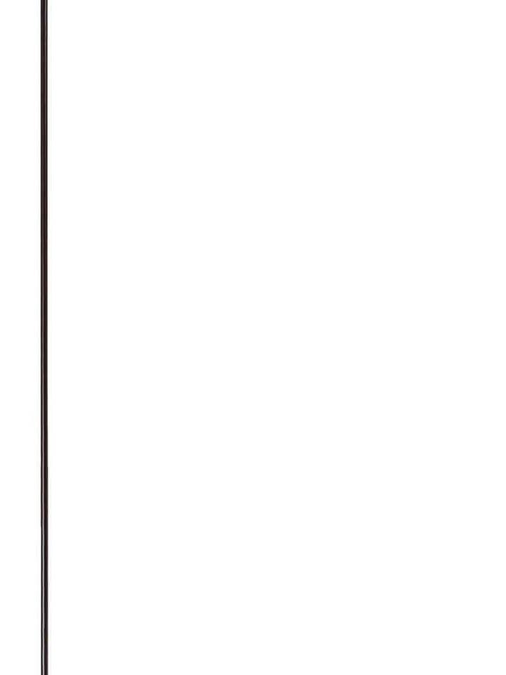 Mini Flag Pole---Holder Curl Plain for wholesale by Custom Decor