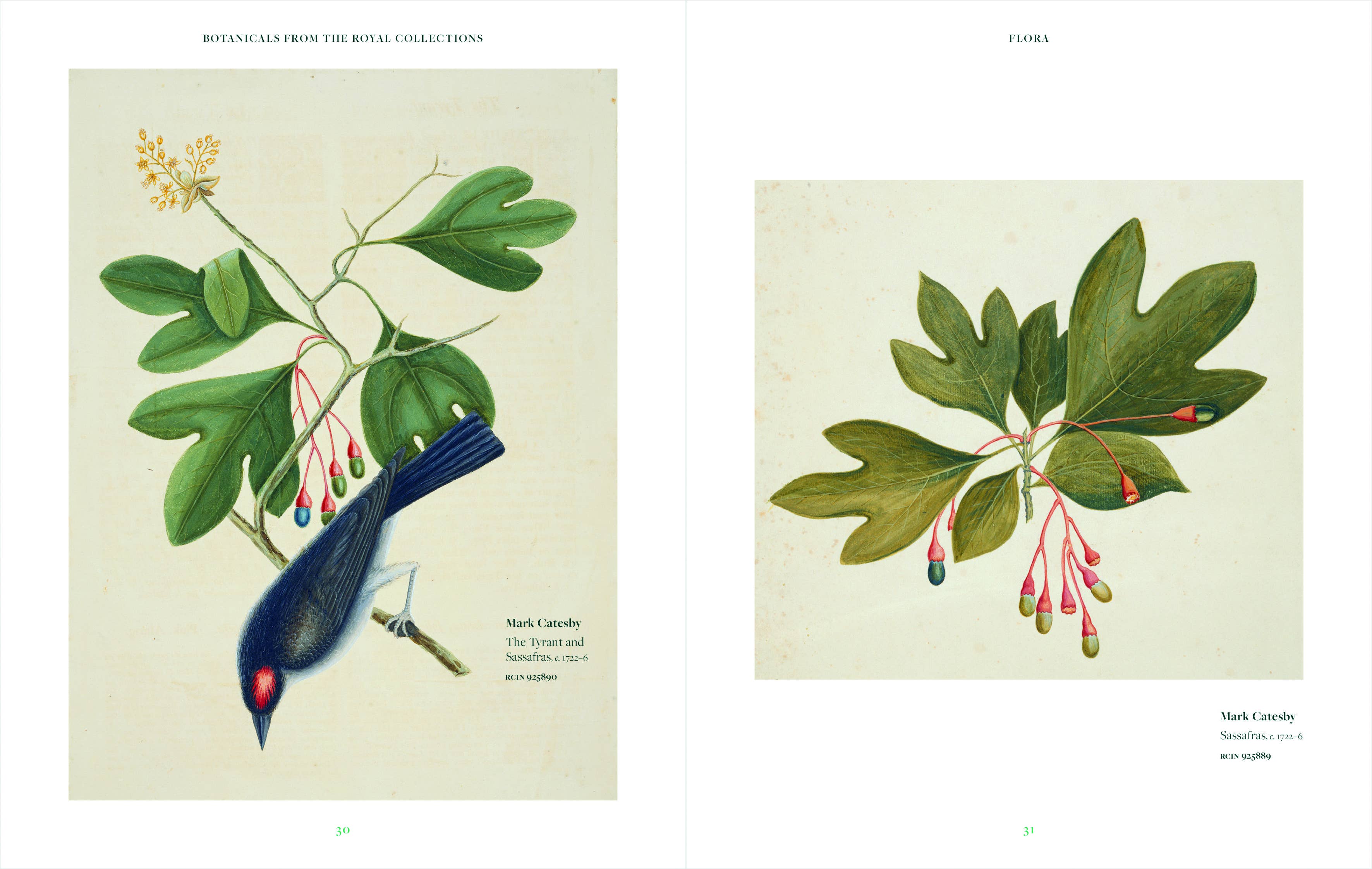 Thames and Hudson - Vente Nature et plein air - Botanicals3