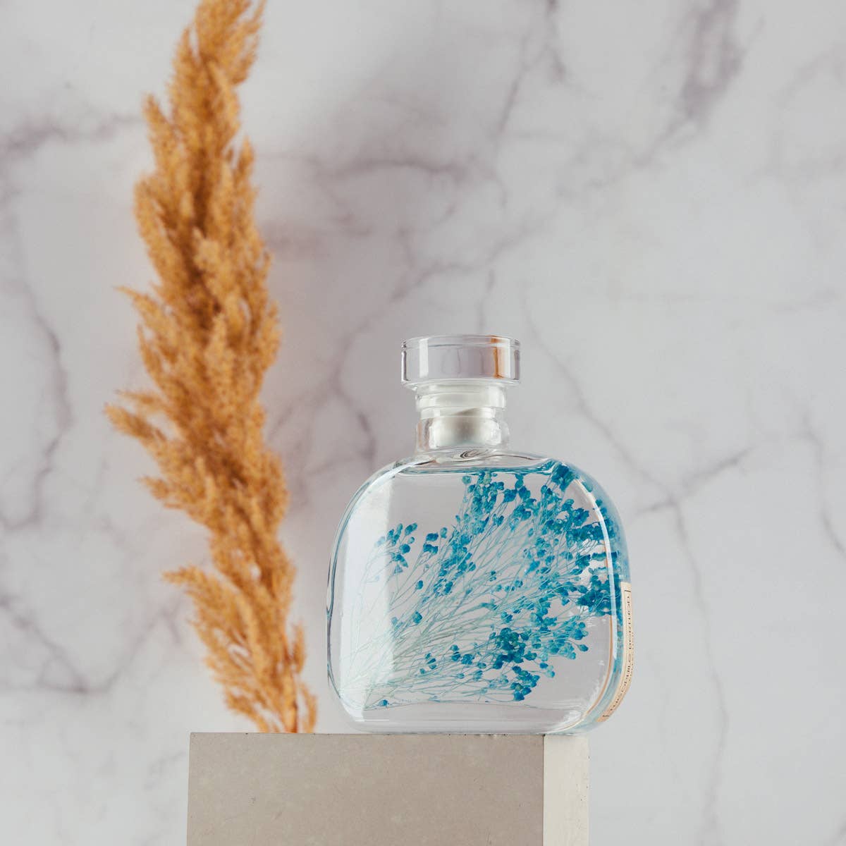 Theophile Berthon - Vente Plante - L'Herbarium Capsule- Broom bloom bleu-plante immergée4