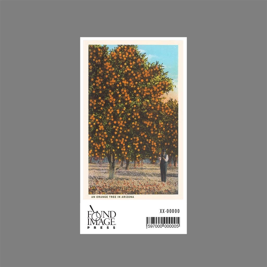 Found Image Press - Wholesale Sticker - Sticker AZ-483 Orange Grove1