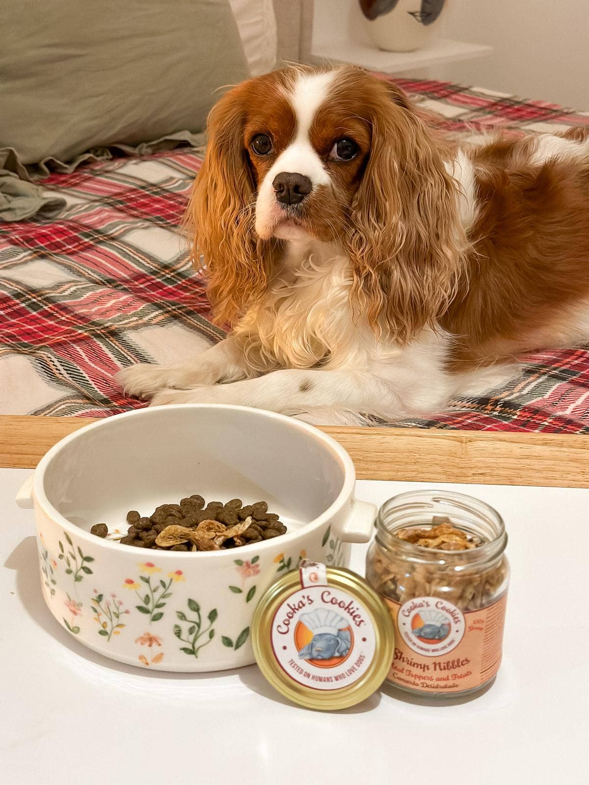 Cooka's Cookies - Wholesale Pet Treats - Dog - Shrimp Nibbles - Magic meal Toppers and Treats3