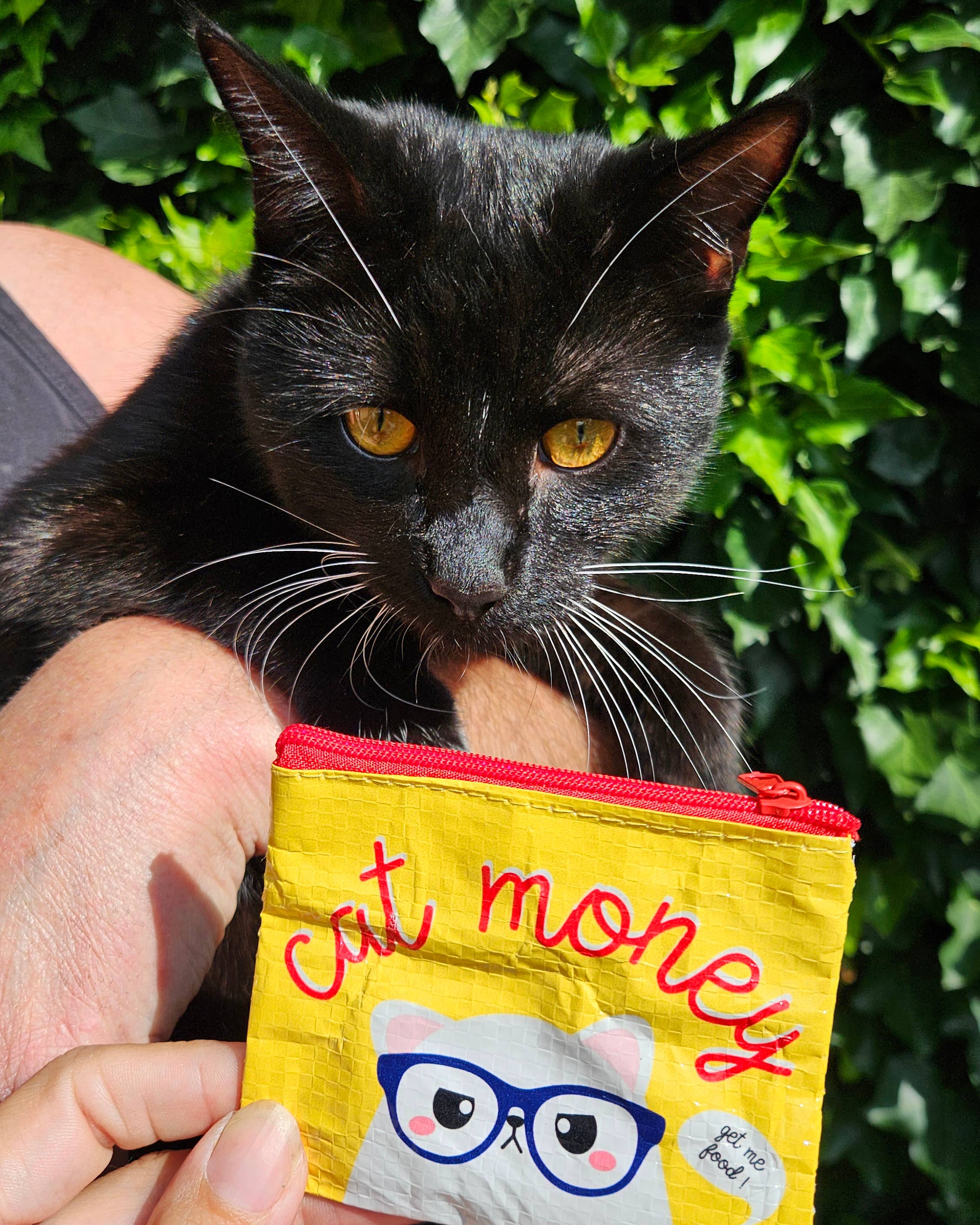 Studio Inktvis - Wholesale Coin Purse - Unisex - Mini wallet coin purse Cat money recycled plastic3