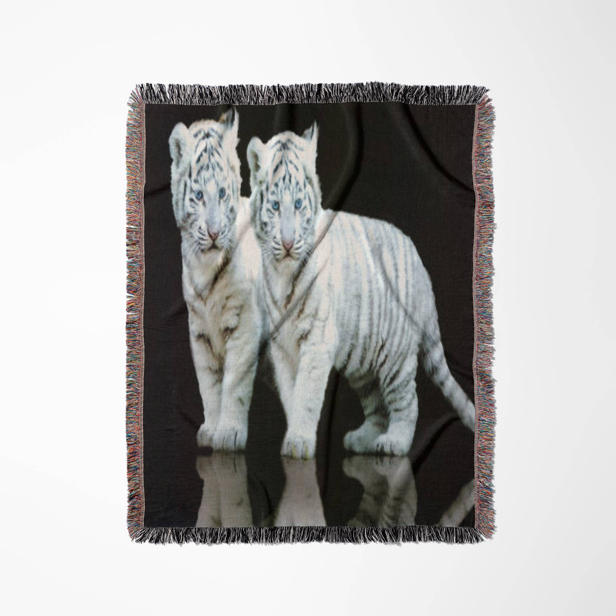 3dRose - Wholesale Throw Blanket - 3dRose, White Tiger Cubs, Blanket0