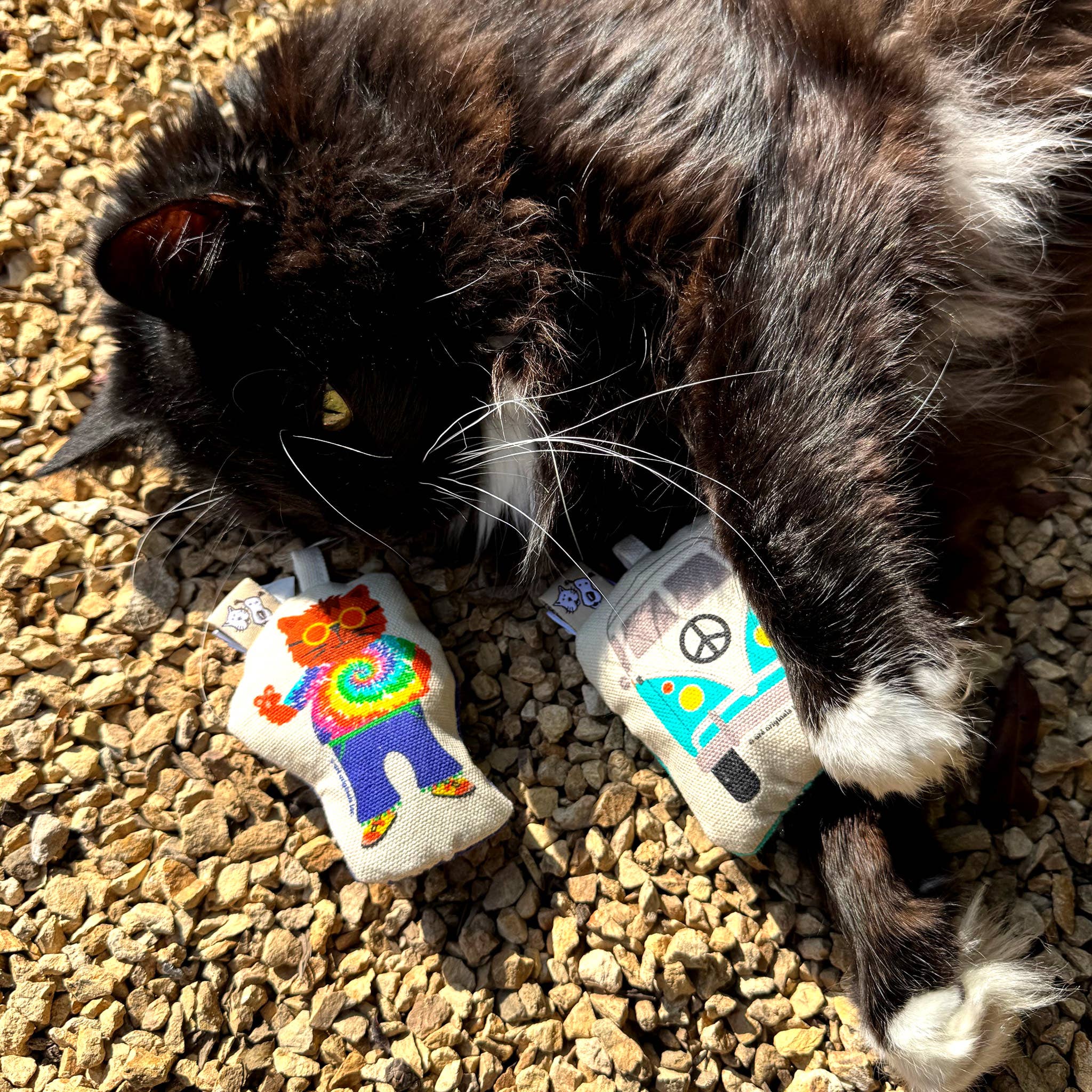 Speckle and Spot by Ore’ Originals - Wholesale Pet Toy Set - Cat - Go Kitty Go Cat Toy Set | Hippie Kitty1