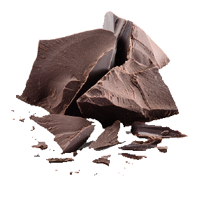 Carolina Honest - Wholesale Cookie - DIGESTIVE GLUTEN-FREE BISCUIT WITH CHOCOLATE2