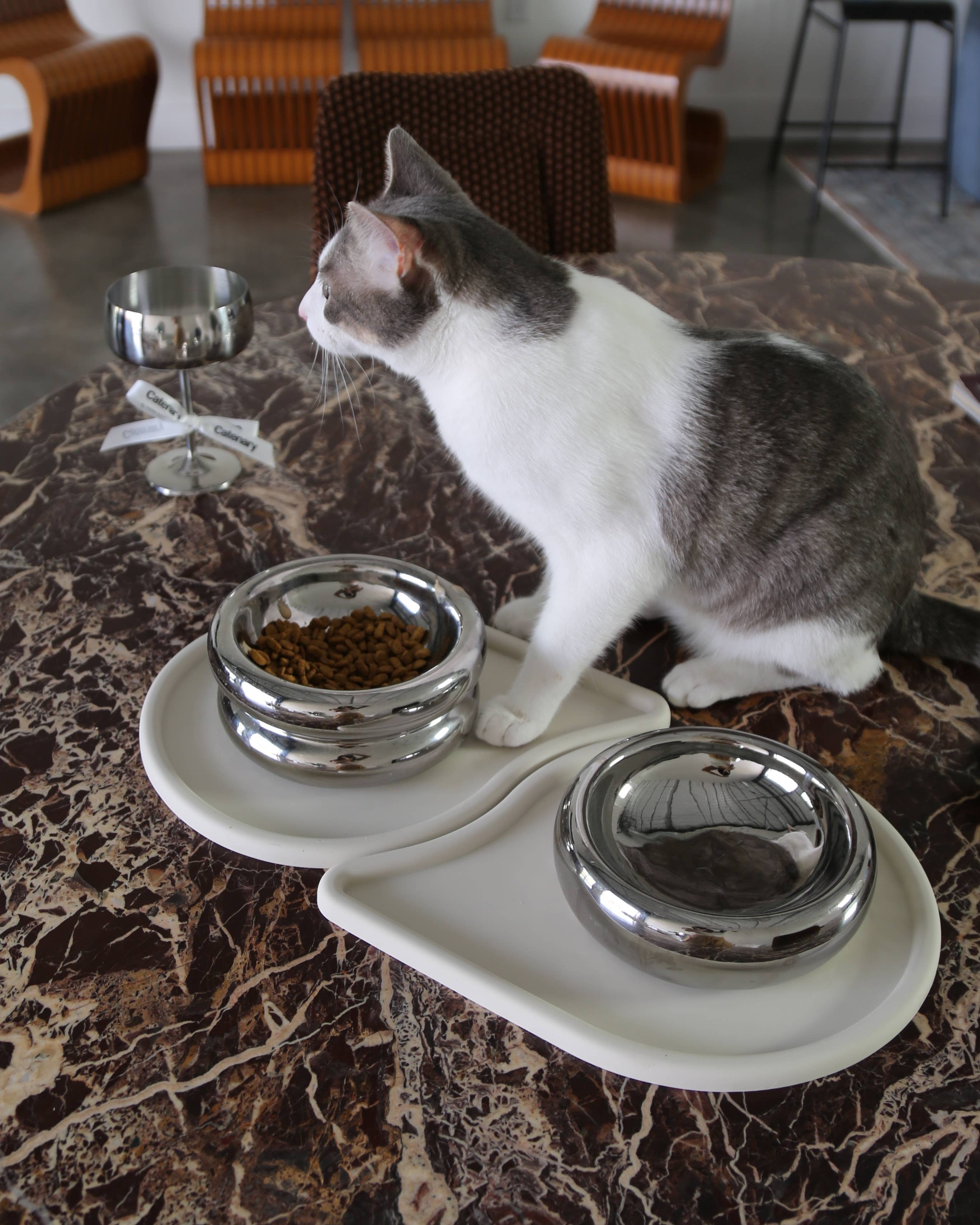 Catenary Home – wholesale Husdjursskål - Katt och hund – Chrome Upphöjd Halo Husdjursskål5