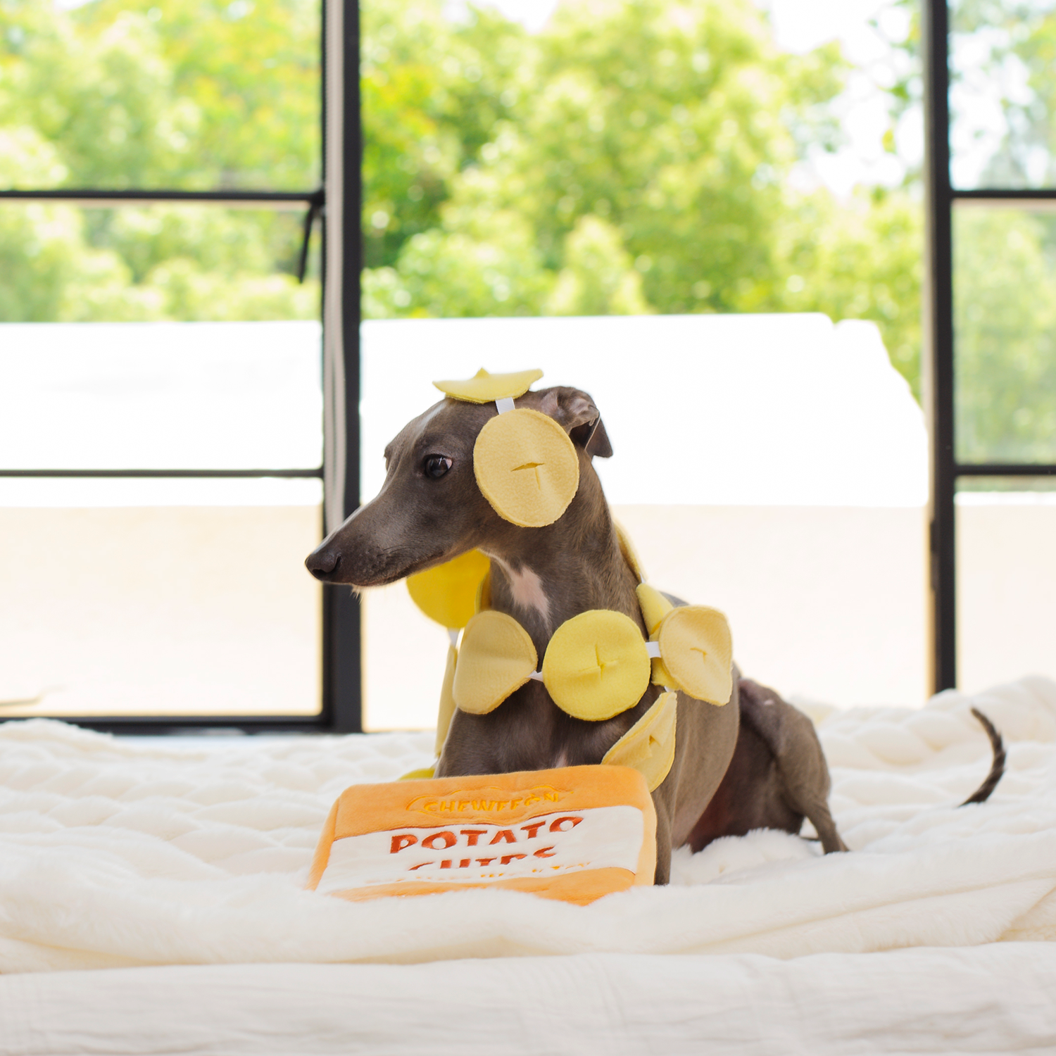 CHEWFFON – Großhandel Plüschtier – Hund – CHEWFFON Raschel-Kartoffelchips-Hundespielzeug3