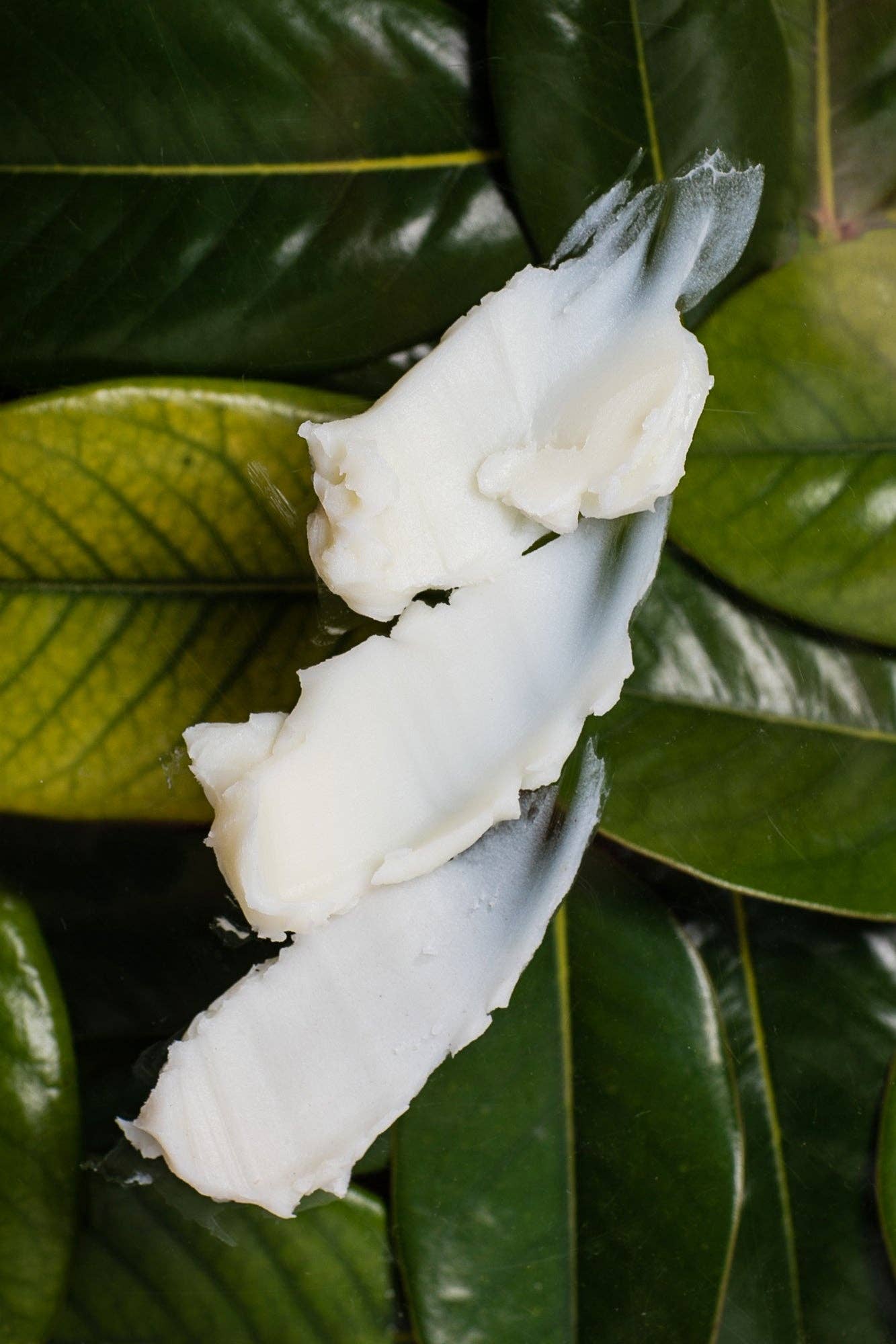 Pure & Coco | Organic Coconut Oil Skincare - Wholesale Body Cream/Lotion - SWEET GROVE Mango Butter Face & Body Crème3