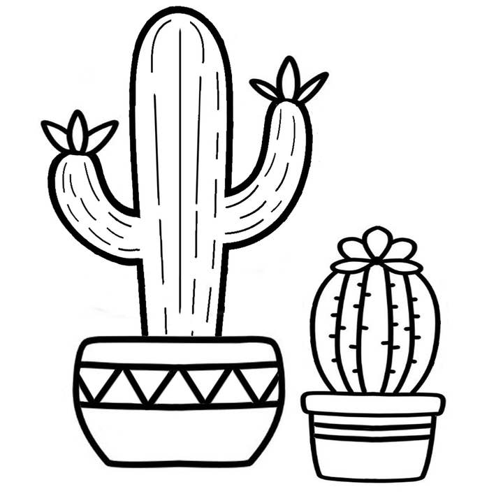 Buttons Galore & More - Wholesale DIY craft kit - Cactus Canvas DIY Craft Kit11