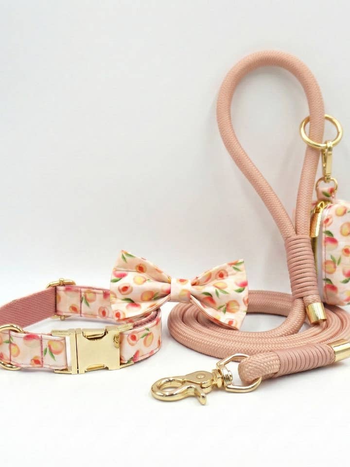 Honey Peach Dog Walking Set for wholesale by Darren & Phillip