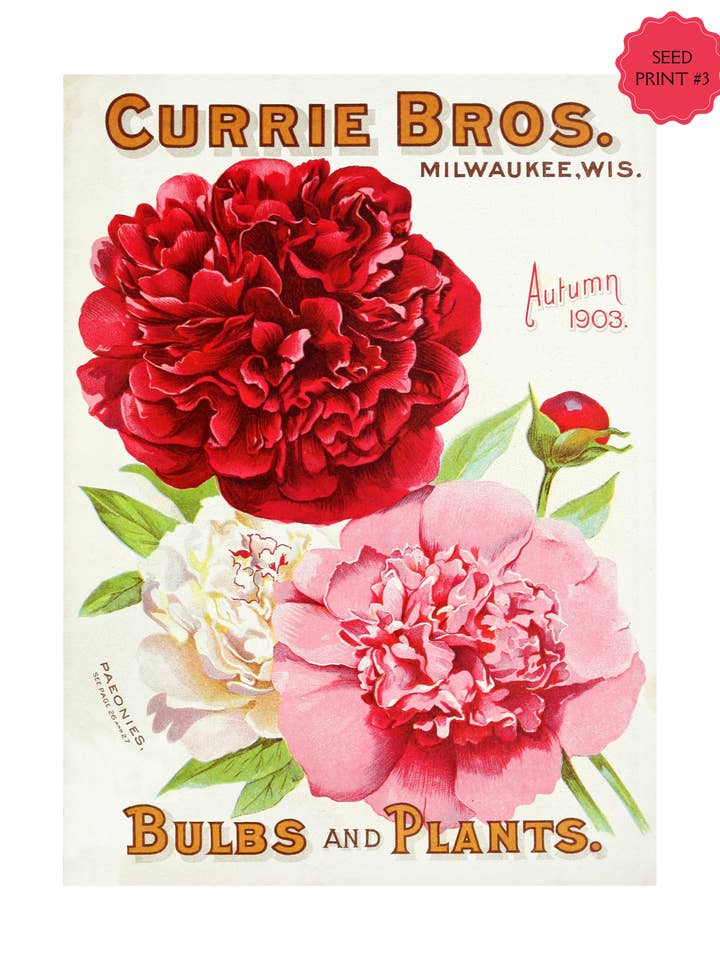 VINTAGE SEED PACKET ART PRINT #3 for wholesale by Soraya Moon Co.
