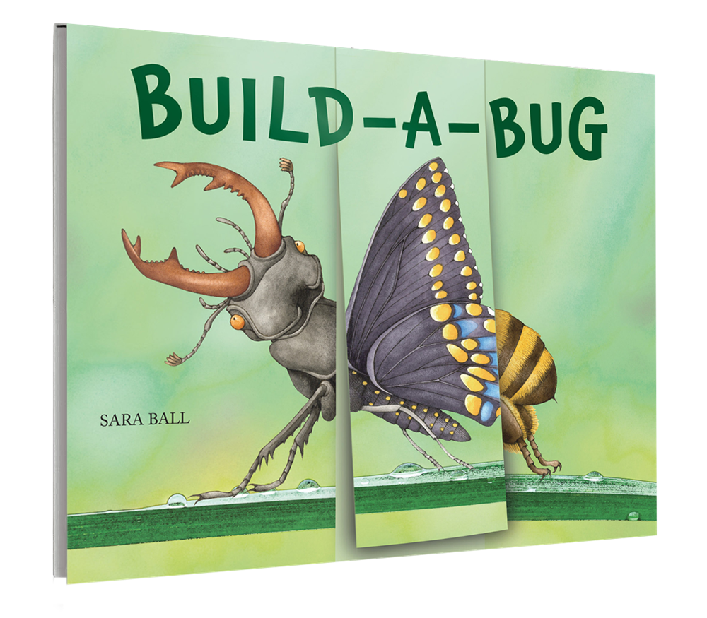 W. W. Norton - Wholesale Coloring & Activity Book - Kids & Baby - Build-A-Bug1