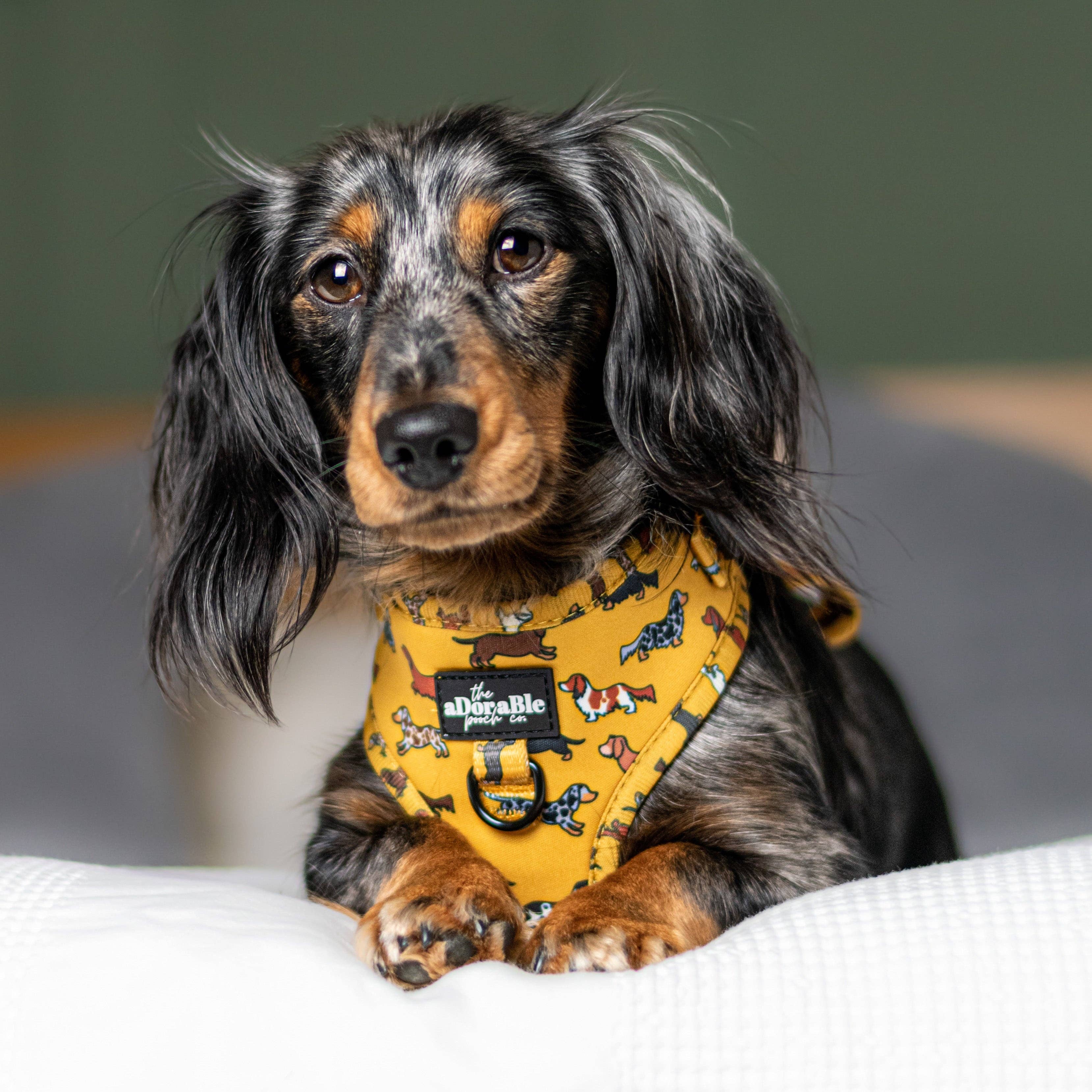 The aDoraBle Pooch Company - Wholesale Pet Harness - Dog - Adjustable Harness - Dashing Dachshunds10