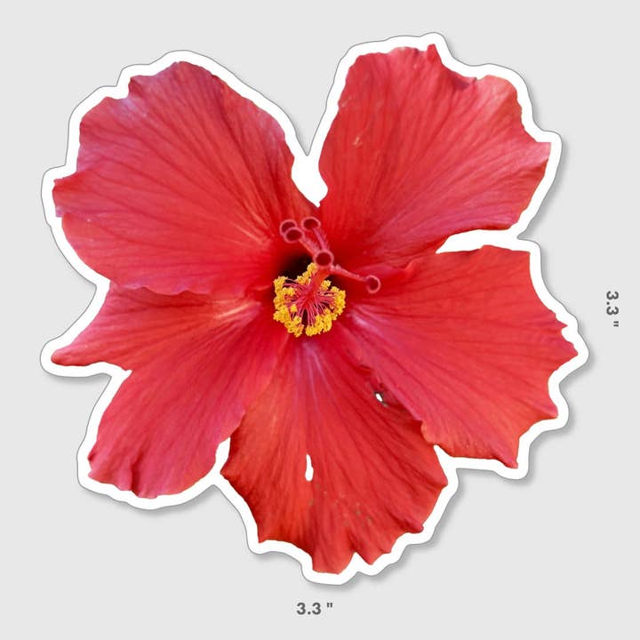 Stick Outside - Wholesale Sticker - Hawaii Hibiscus Flower Sticker3