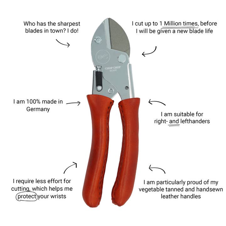 Tiger Lilly pour la vente par Chop Chop Bloom