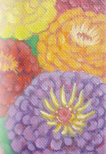 Sow True Seed - Wholesale Plant Seeds - Zinnia Seeds - California Giants Mix1