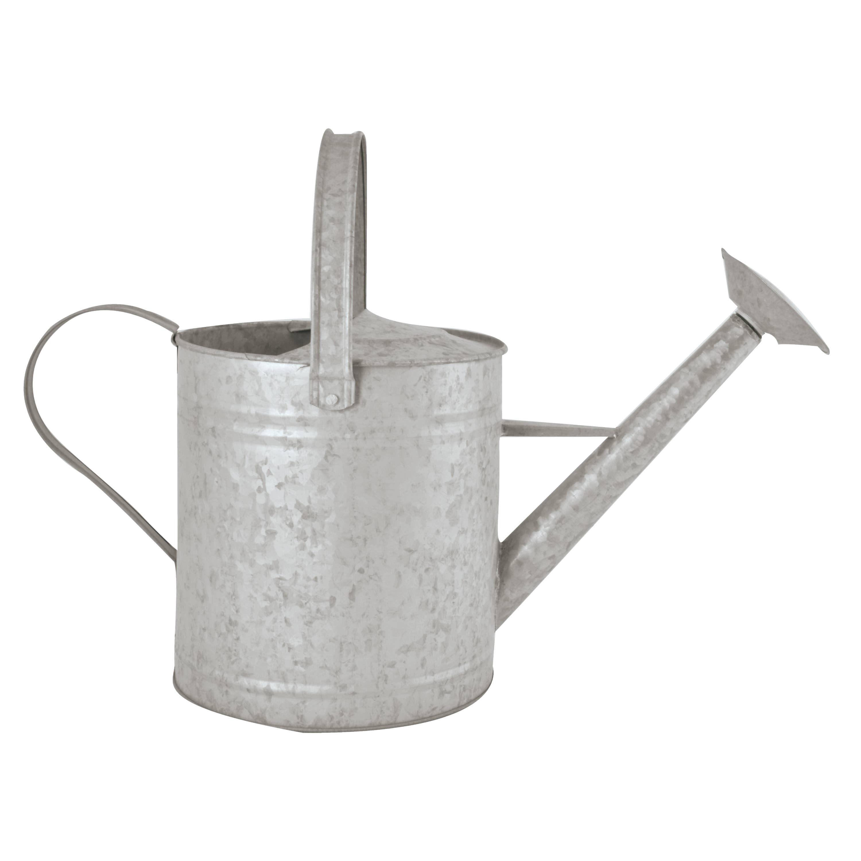 Fallen Fruits Ltd – wholesale Watering can – OZ45 - Old Zinc Watering Can (6.6Lt)0