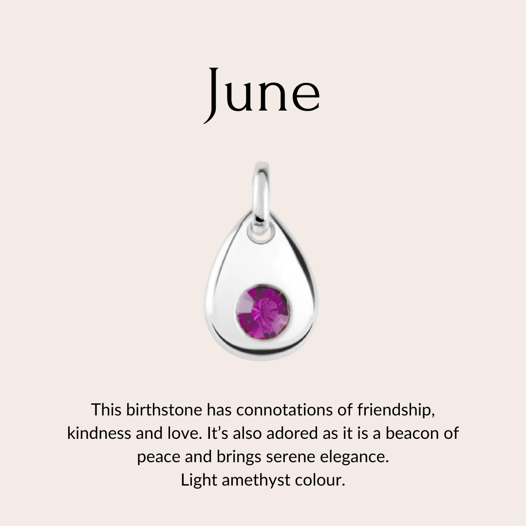 Skylos Collective - Wholesale Pet Collar Charm - Cat/Dog - Sterling silver birthstone collar charm8