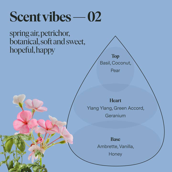 Siblings - Wholesale Jar/Filled Candle - Scent No 02 — Clean Candle Refill