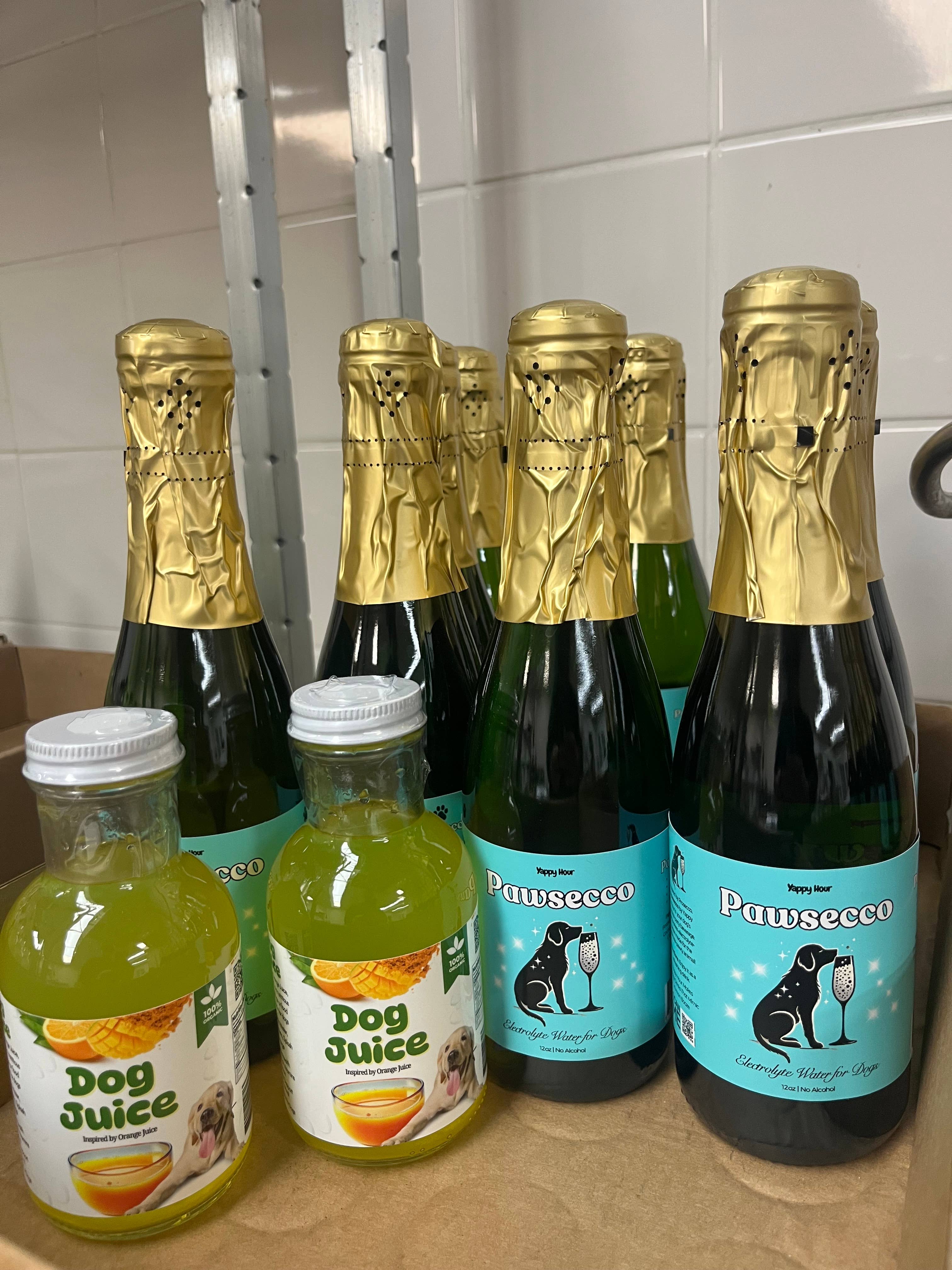 Yappy Hour - Wholesale Pet Treats - Dog - Mimosa Kit for Dogs | 6ct | Electrolyte-Mango1