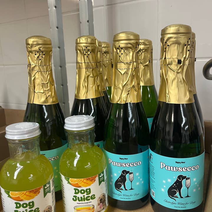 Yappy Hour - Wholesale Pet Treats - Dog - Mimosa Kit for Dogs | 6ct | Electrolyte-Mango1