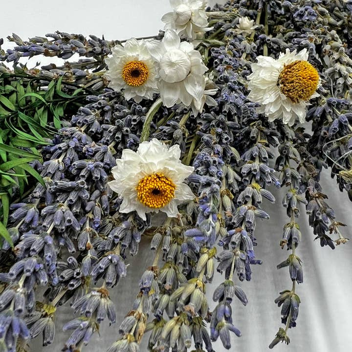 2626 Designs - Venta al por mayor Corona - Corona decorativa de lavanda seca preservada auténtica en color morado3