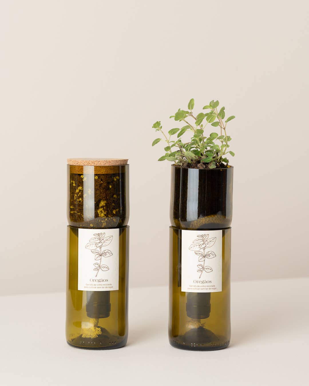 Life in a bag - Venta al por mayor Semillas de plantas - Botella para cultivar orégano