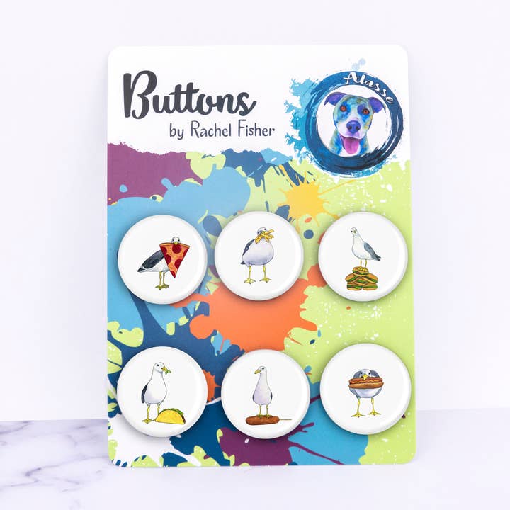 Conjunto de botões Pinback Aves Americanas por atacado de Alasse