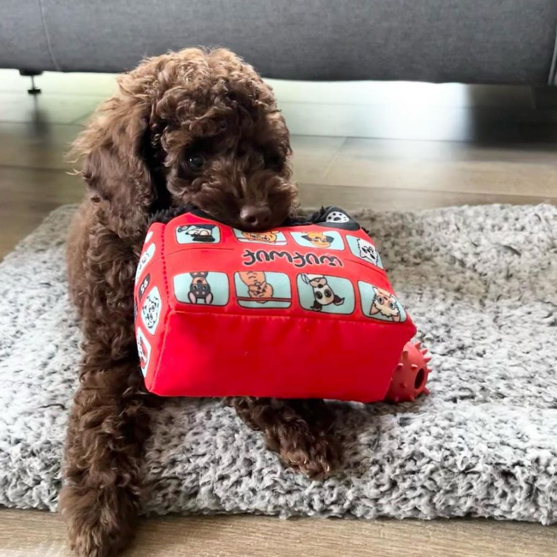 WufWuf - Vendita all'ingrosso Giocattoli sonori per animali - Cani - Giocattolo per cani WufWuf City Transpawt, autobus di Londra in peluche con sonaglio1