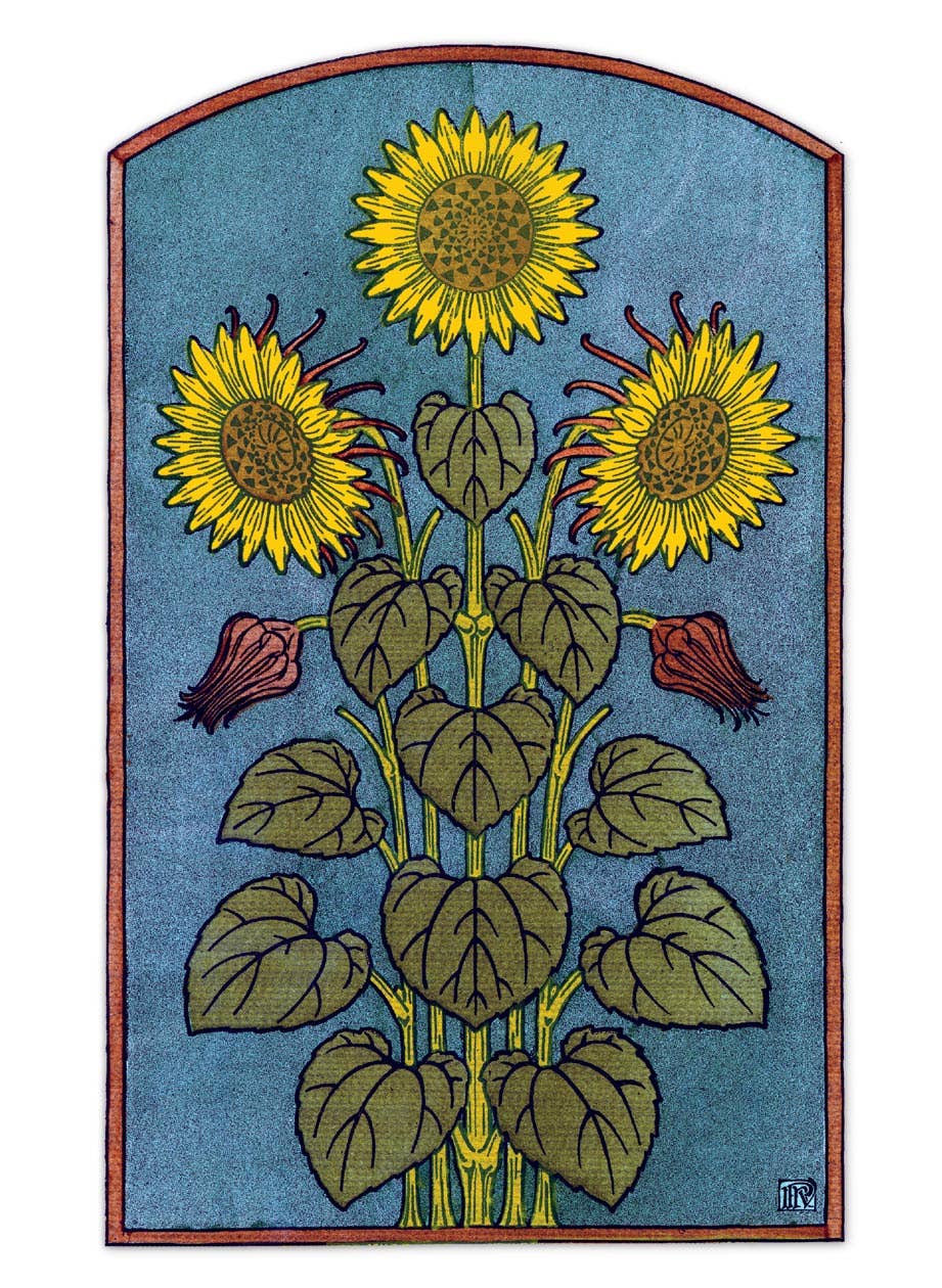 Laughing Elephant – Großhandel Postkarten-Set – Sonnenblumen-Postkartenbox — Postkarten für den täglichen Gebrauch in Schachtel13