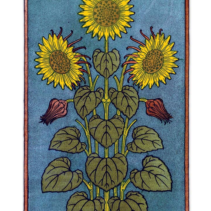 Laughing Elephant – Großhandel Postkarten-Set – Sonnenblumen-Postkartenbox — Postkarten für den täglichen Gebrauch in Schachtel13