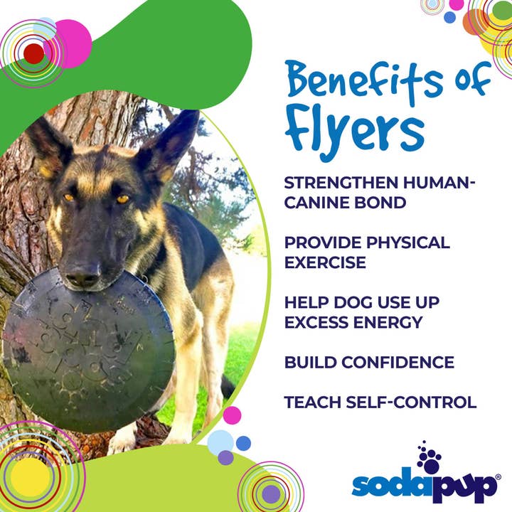 SodaPup Dog Toys - Wholesale Apporteerbal voor honden - Hond - SP Magnum Flessentop Flyer - Vliegend Speelgoed - Groot - Zwart