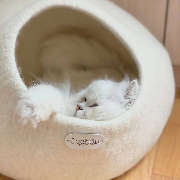 Effen kleurige wollen coconmand voor katten of kleine honden voor wholesale door COCOON - Paris