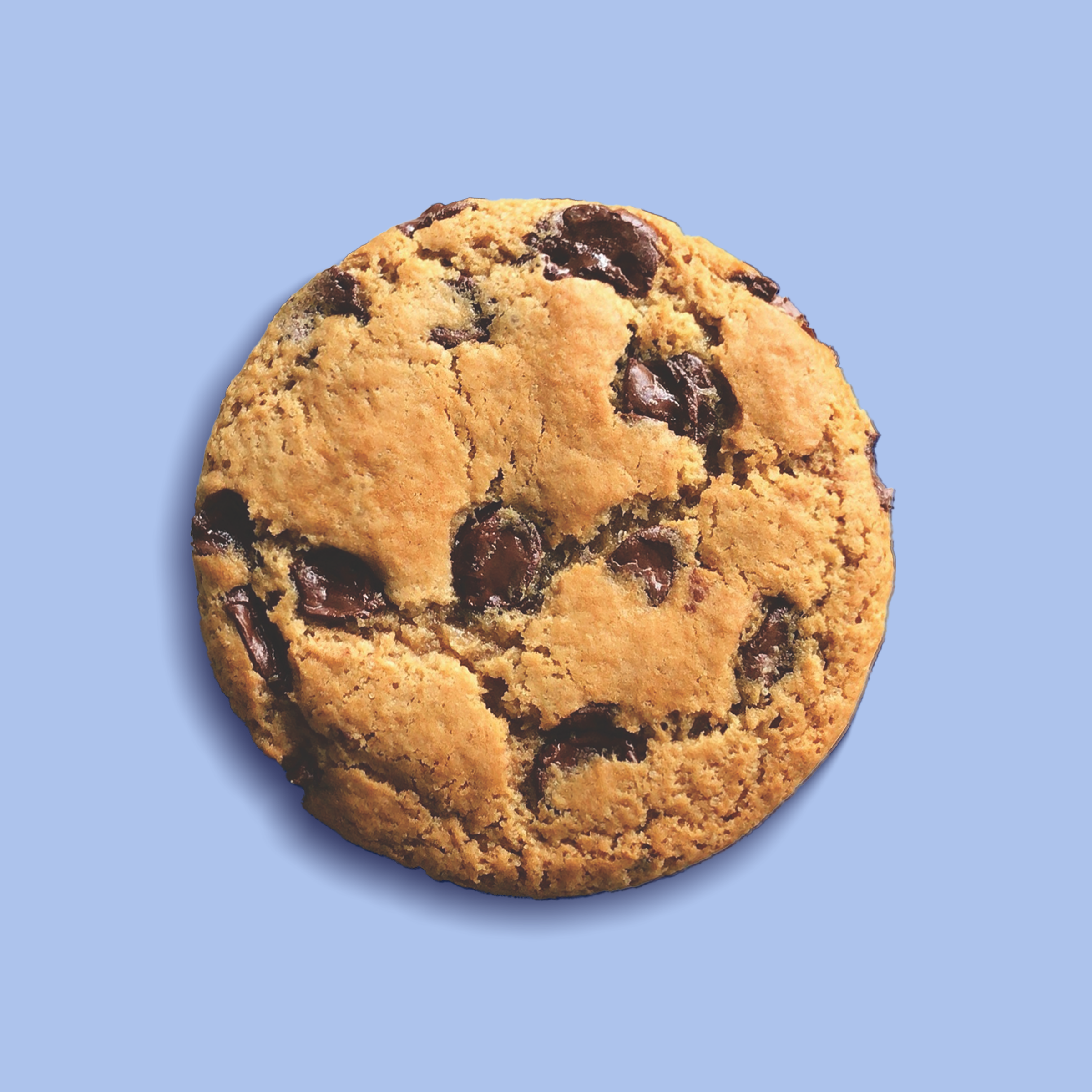 Naughty Cookie - Wholesale Cookie - Chocolate Chip Vegan Cookies2