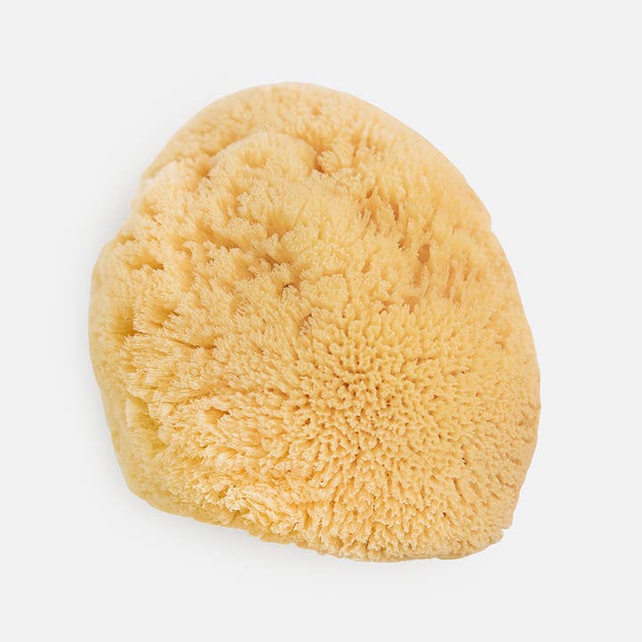 Bath Accessories Company - Wholesale Bath Pouf/Sponge - Natural Sea Sponges