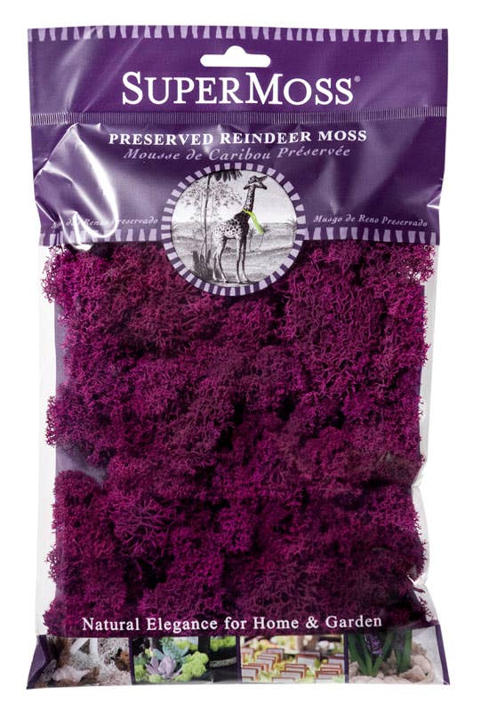 SuperMoss – Großhandel Pflanzen – SuperMoss Rentiermoos konserviert, 57 g Beutel3