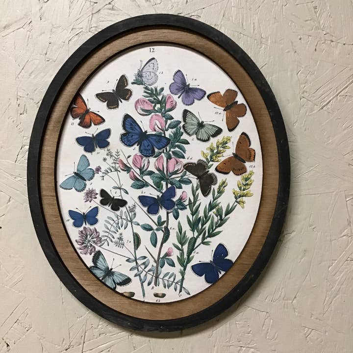 LAND OF COTTON - Wholesale Gallery Wall Set - Set of 3 Oval Framed Butterfly Prints