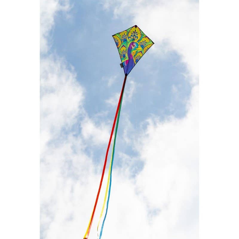 HQ Kites & Designs - Wholesale Vlieger - Ecoline Eddy Pauwstaartvlieger 28"3