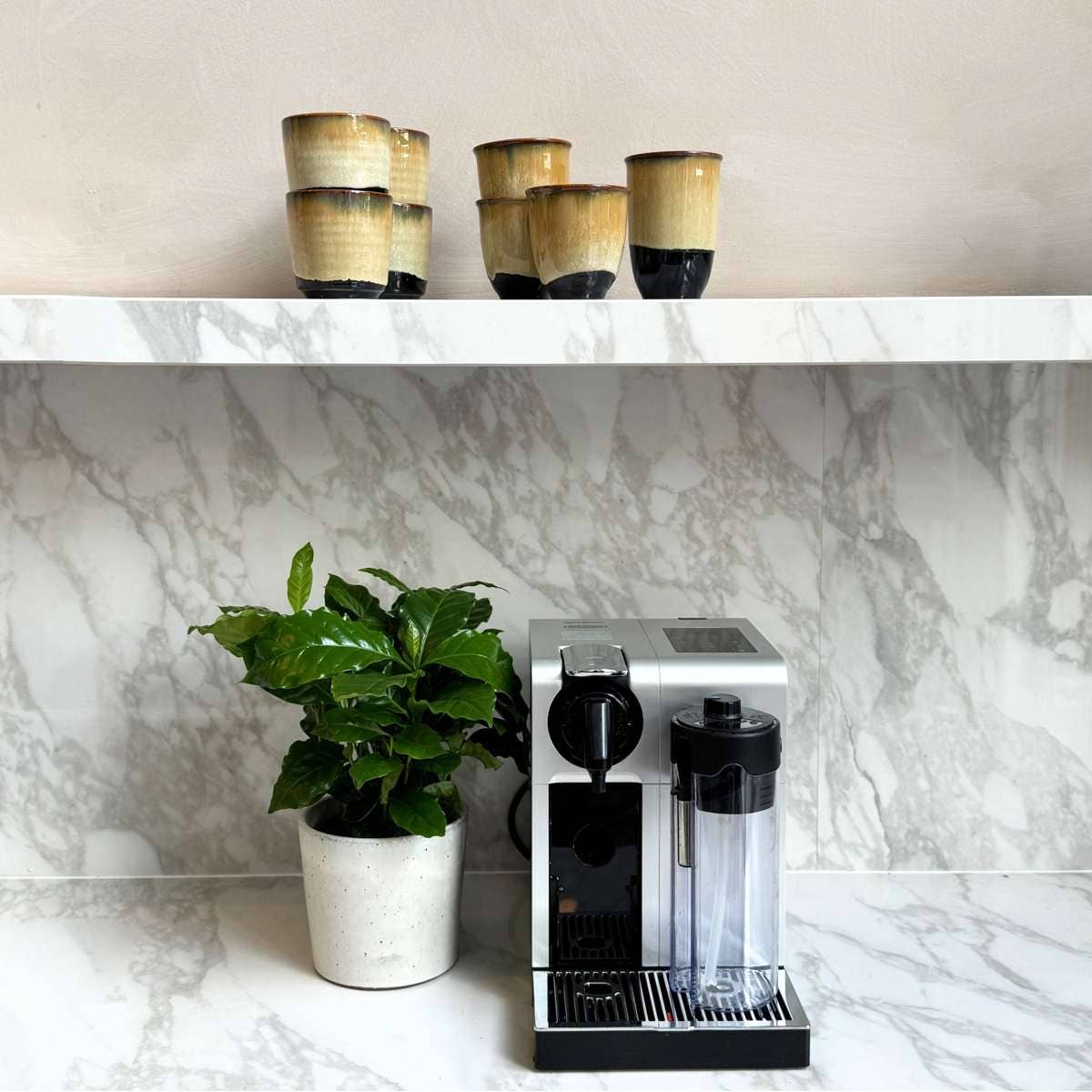 Oasis of Life - Wholesale Live plant - Coffee plant – 2 plants – Coffea arabica – Height 25–40cm – Ø12cm – Tropical houseplant with glossy leaves & fragrant flowers – Easy-care coffee tree for home & office7