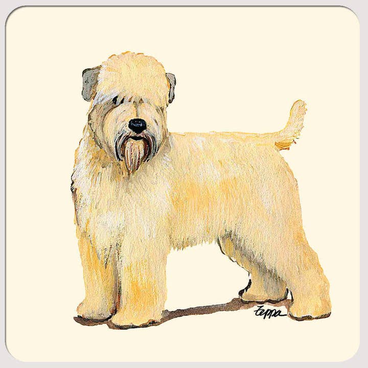 Wheaten (soft coated) Terrier Beverage Coasters for wholesale by Zeppa Studios