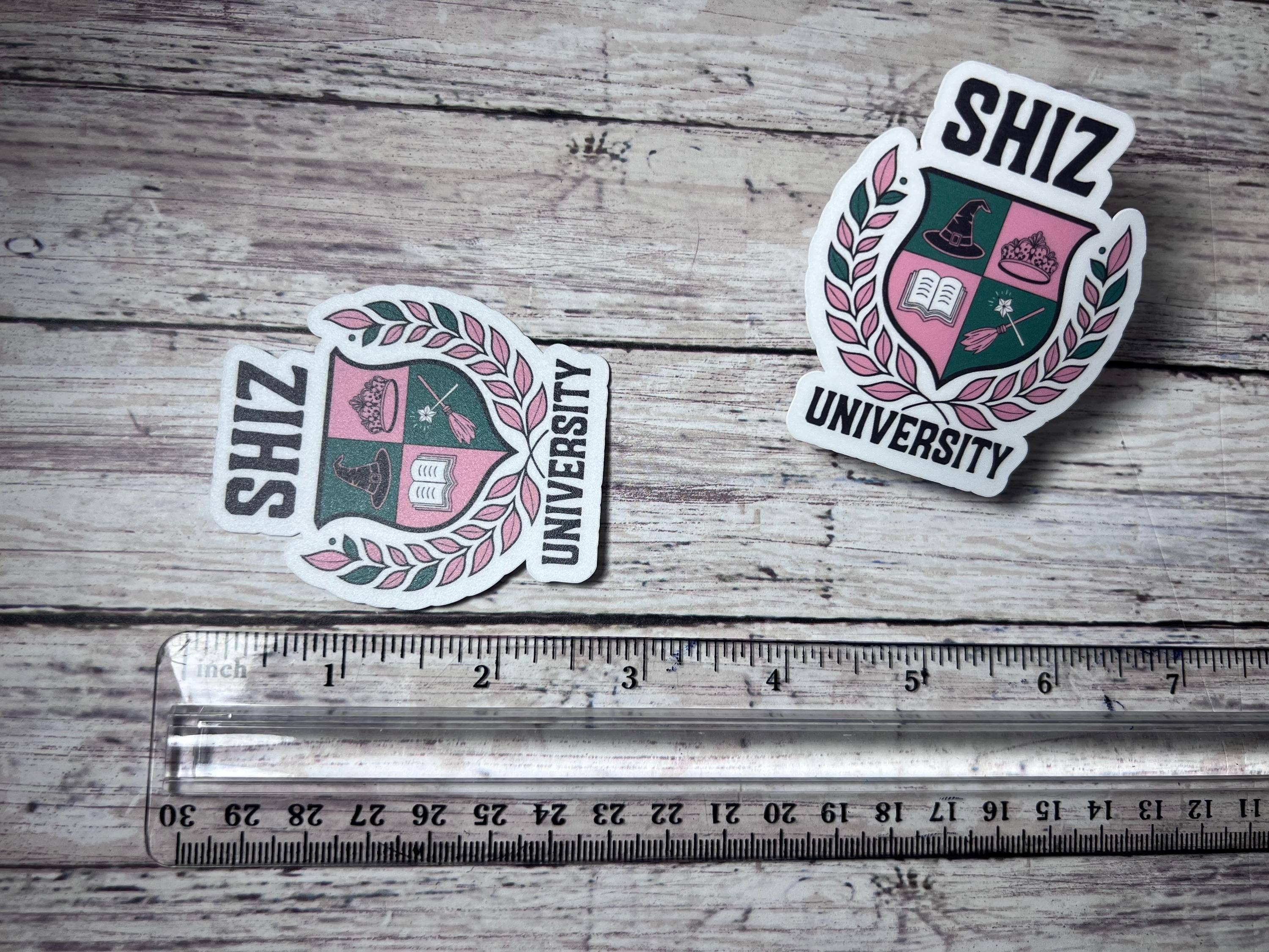 The Teaching Duo - Vendita all'ingrosso Adesivo - Set di adesivi e merchandising ispirato a Elphaba e Glinda di Wicked5