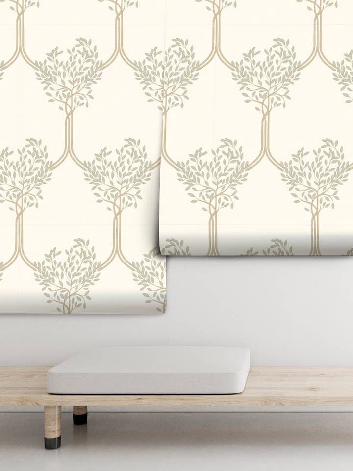 Tarajal per la vendita all'ingrosso da parte di PIPAPEL