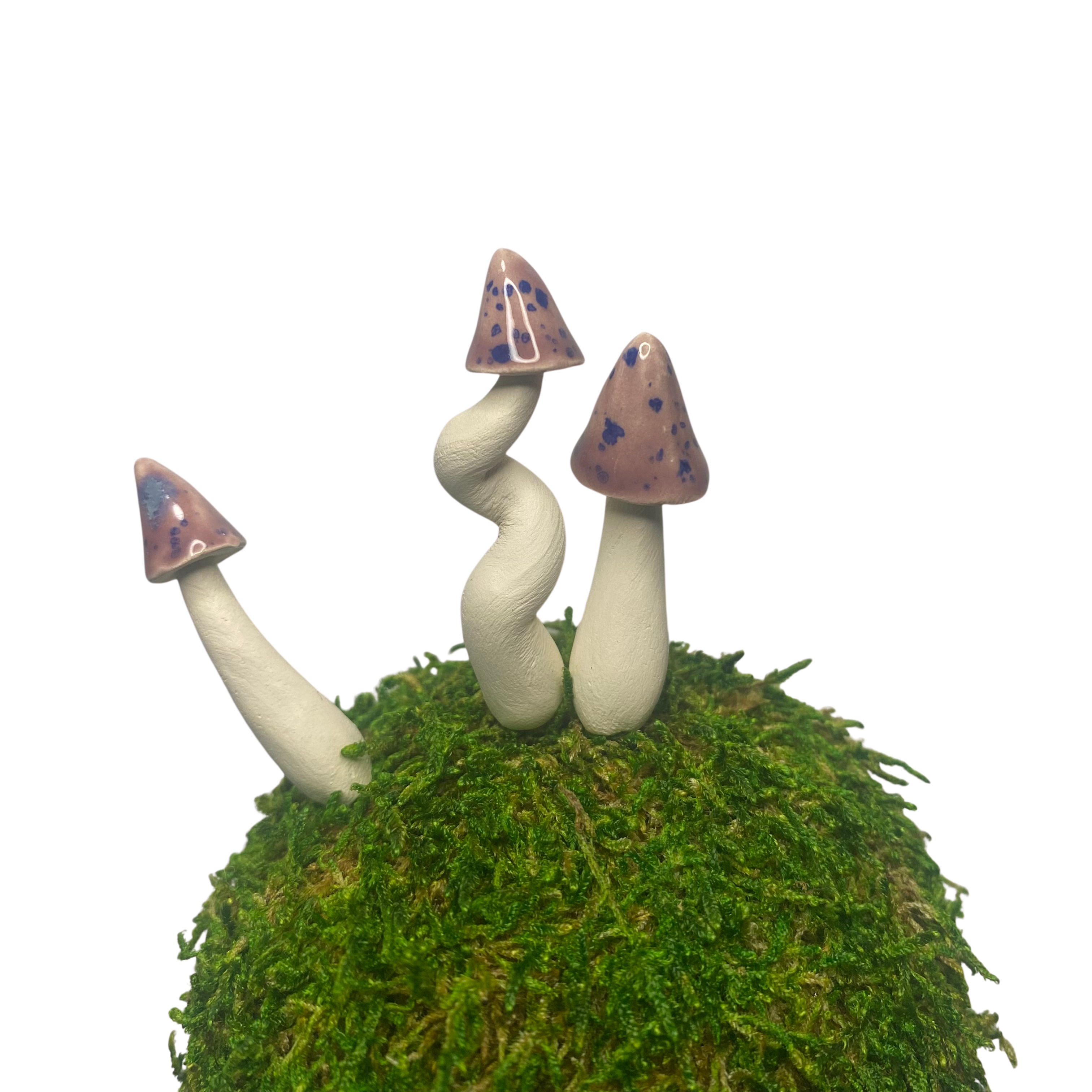 Handpicked Ceramics - Wholesale Decorative Tabletop Object - Mini Ceramic Mushrooms3