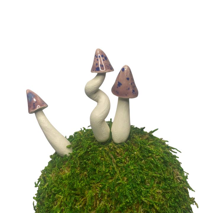 Mini keramiska svampar för wholesale av Handpicked Ceramics