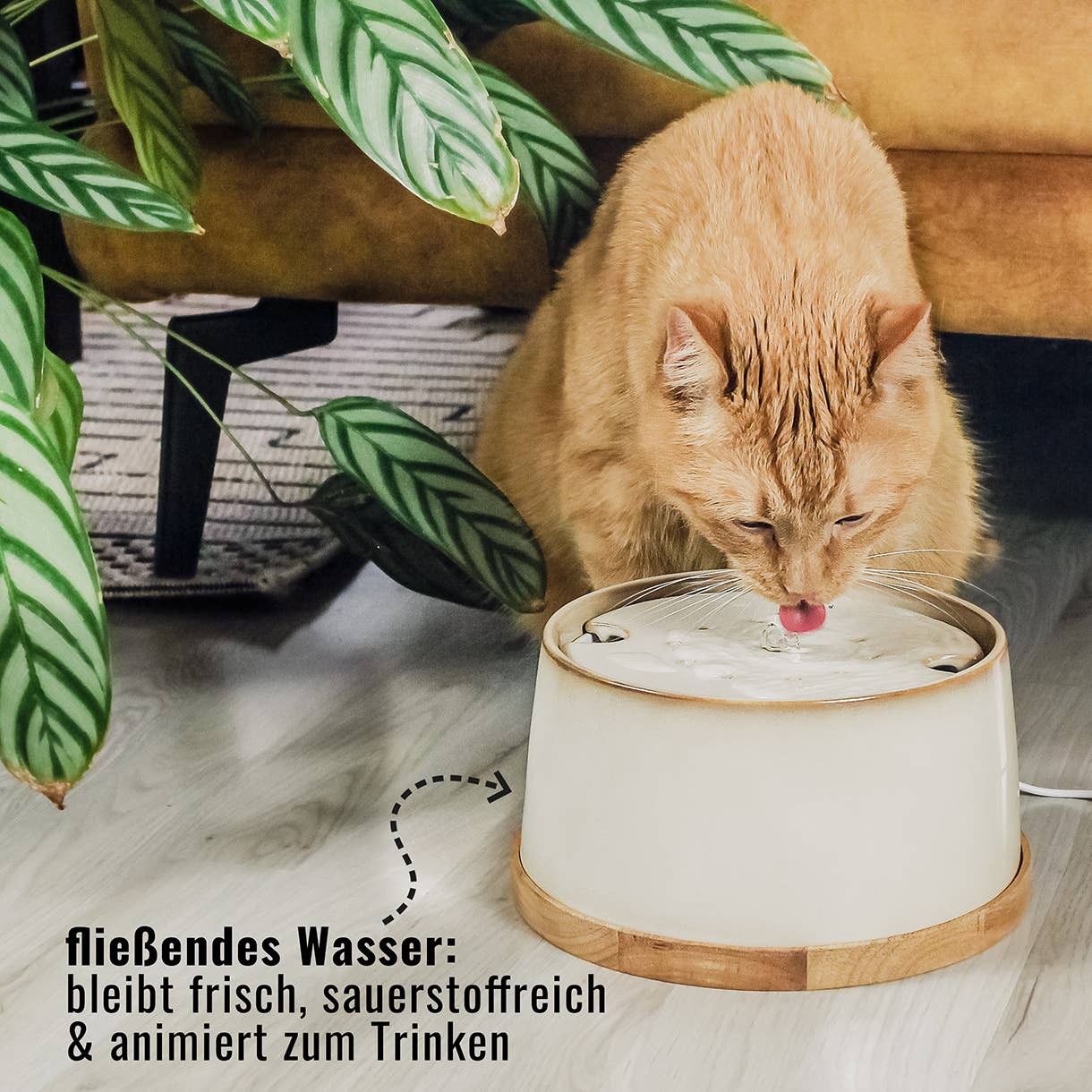 ne&no – Großhandel Futternapf – Katze/Hund – ne&no® Keramik Trinkbrunnen + Bambus-Basis I Induktion1